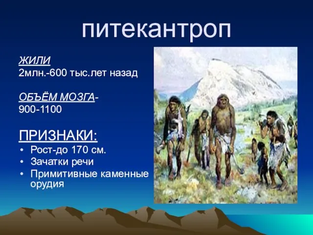 питекантроп ЖИЛИ 2млн.-600 тыс.лет назад ОБЪЁМ МОЗГА- 900-1100 ПРИЗНАКИ: Рост-до 170