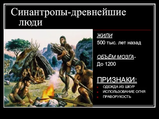 Синантропы-древнейшие люди ЖИЛИ 500 тыс. лет назад ОБЪЁМ МОЗГА- До 1200