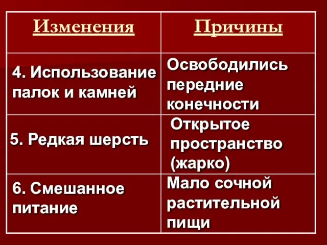 Освободились передние конечности 4. Использование палок и камней 5. Редкая шерсть