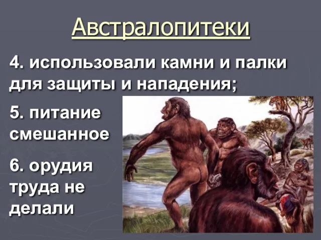 Австралопитеки 4. использовали камни и палки для защиты и нападения; 5.