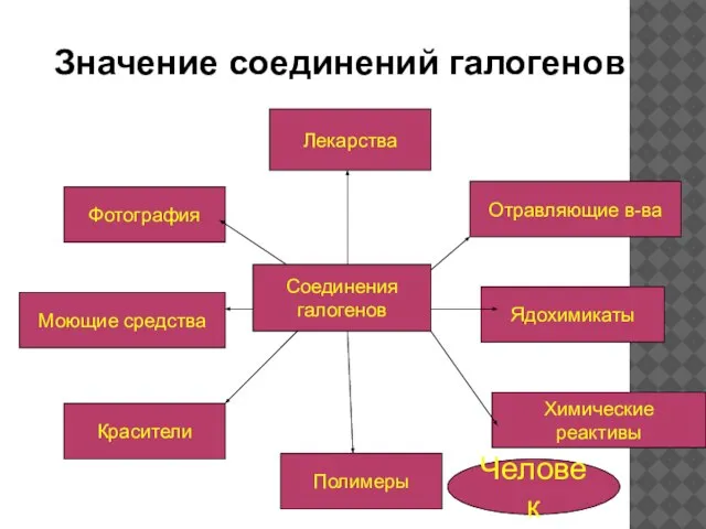 Лекарства Моющие средства Красители Полимеры Химические реактивы Ядохимикаты Отравляющие в-ва Фотография