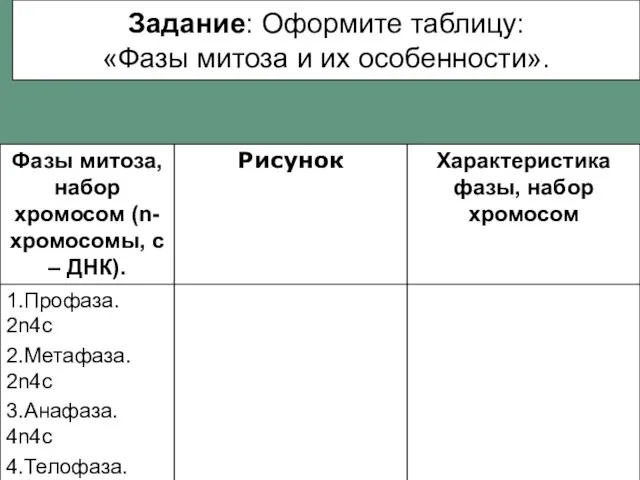 Задание: Оформите таблицу: «Фазы митоза и их особенности».