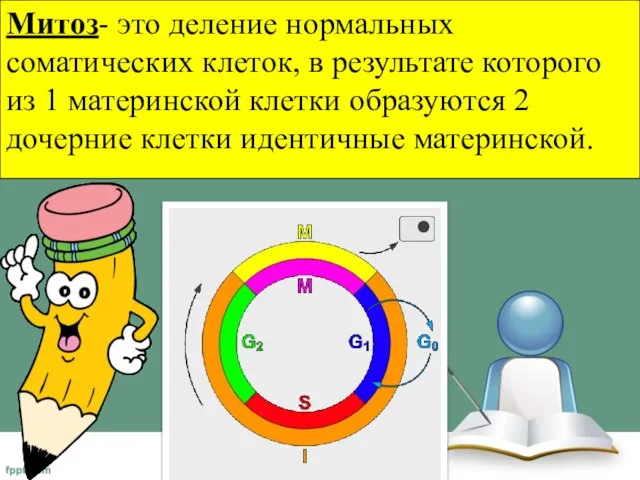 Митоз- это деление нормальных соматических клеток, в результате которого из 1