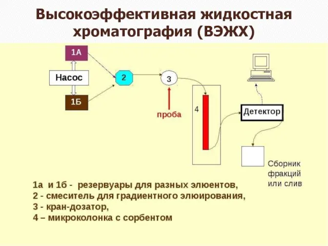 Высокоэффективная жидкостная хроматография (ВЭЖХ)