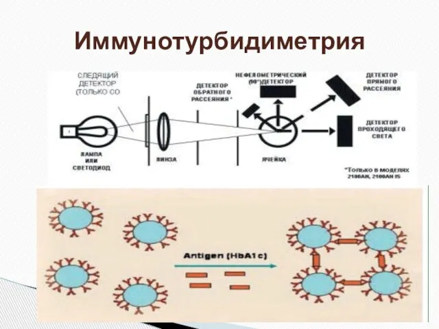 Иммунотурбидиметрия