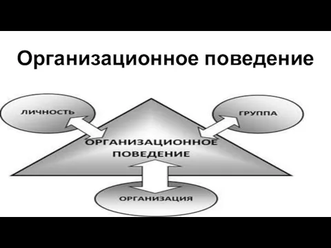 Организационное поведение