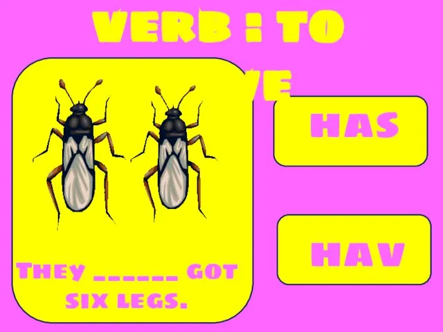 has have They ______ got six legs. verb : to have