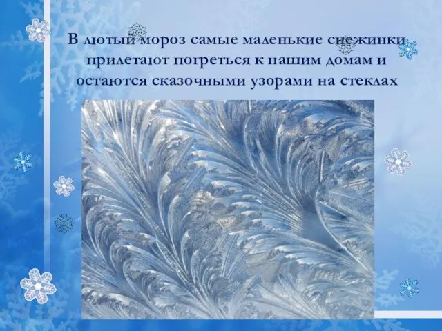 В лютый мороз самые маленькие снежинки прилетают погреться к нашим домам