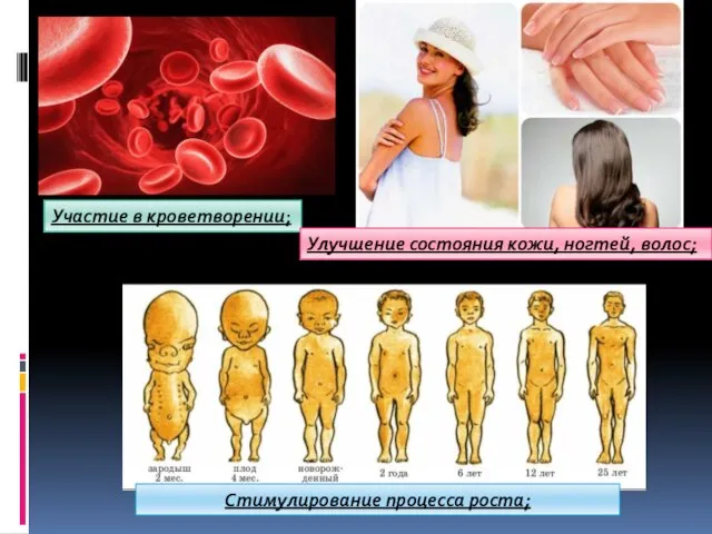 Стимулирование процесса роста; Участие в кроветворении; Улучшение состояния кожи, ногтей, волос;