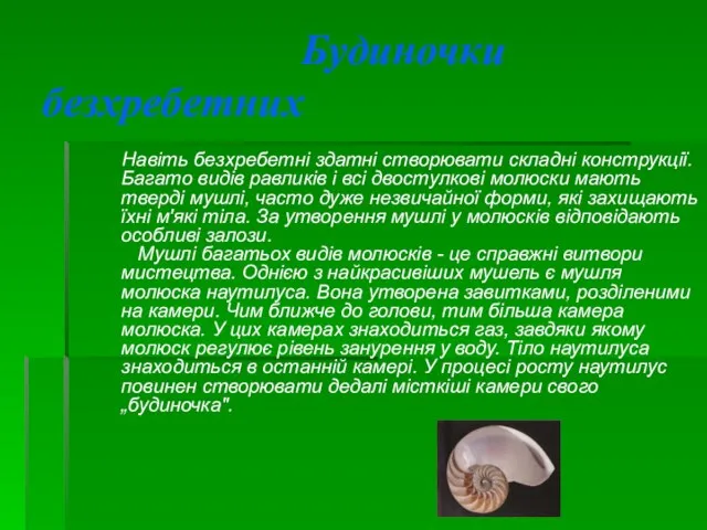 Будиночки безхребетних Навіть безхребетні здатні створювати складні конструкції. Багато видів равликів