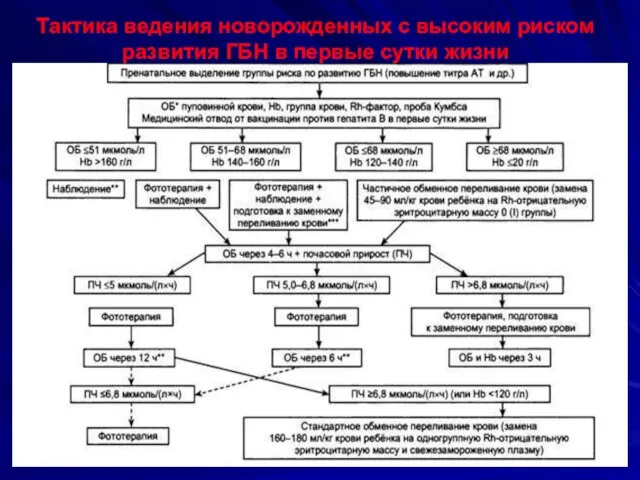 Тактика ведения новорожденных с высоким риском развития ГБН в первые сутки жизни