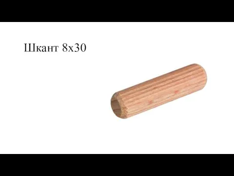 Шкант 8х30