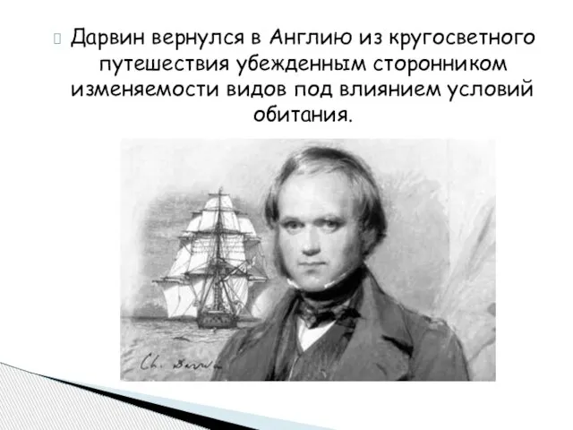 Дарвин вернулся в Англию из кругосветного путешествия убежденным сторонником изменяемости видов под влиянием условий обитания.