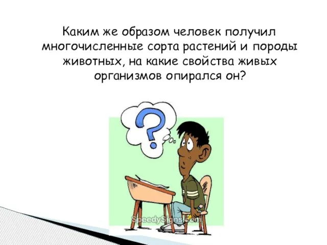 Каким же образом человек получил многочисленные сорта растений и породы животных,