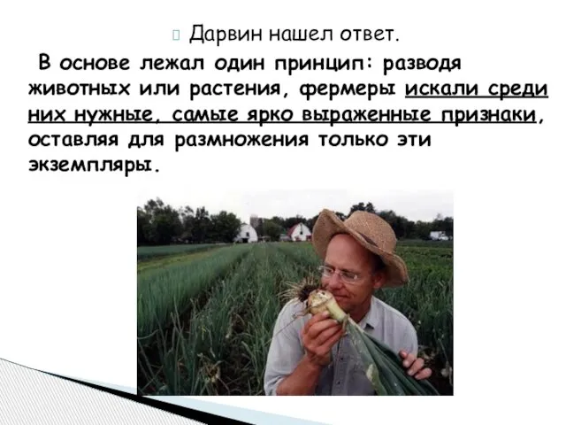 Дарвин нашел ответ. В основе лежал один принцип: разводя животных или