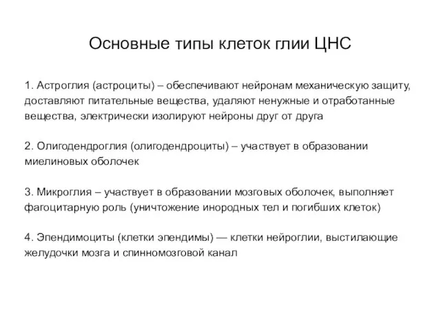 Основные типы клеток глии ЦНС 1. Астроглия (астроциты) – обеспечивают нейронам