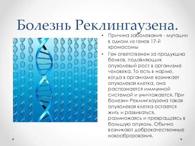 Болезнь Реклингаузена. Причина заболевания - мутации в одном из генов 17-й