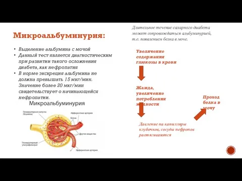 Длительное течение сахарного диабета может сопровождаться альбуминурией, т.е. появлением белка в