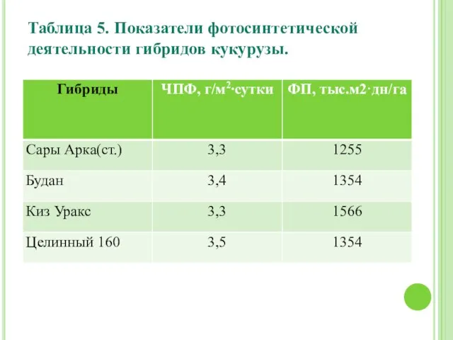 Таблица 5. Показатели фотосинтетической деятельности гибридов кукурузы.