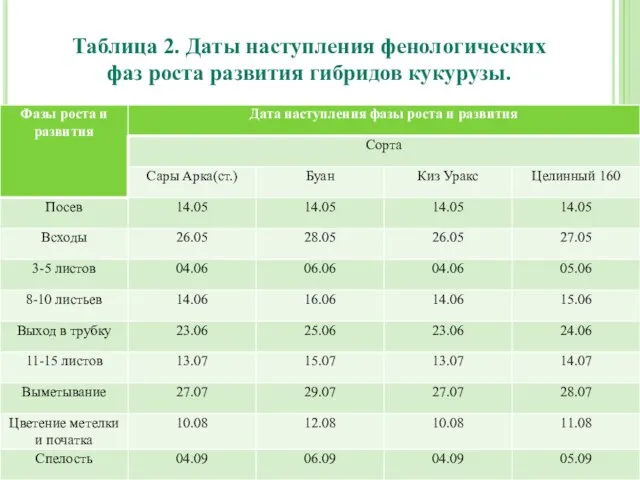 Таблица 2. Даты наступления фенологических фаз роста развития гибридов кукурузы.