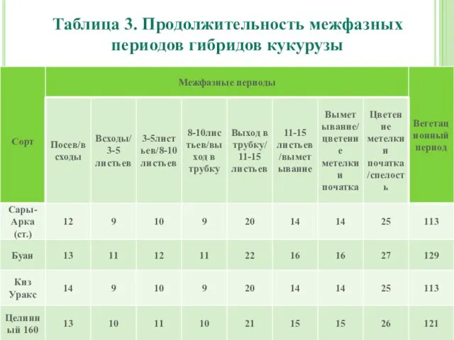 Таблица 3. Продолжительность межфазных периодов гибридов кукурузы