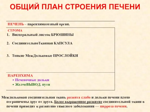 ОБЩИЙ ПЛАН СТРОЕНИЯ ПЕЧЕНИ ПЕЧЕНЬ – паренхиматозный орган. Междольковая соединительная ткань