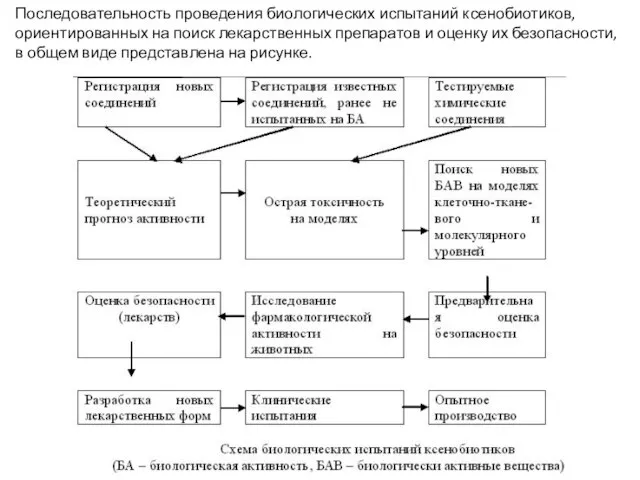 Последовательность проведения биологических испытаний ксенобиотиков, ориентированных на поиск лекарственных препаратов и