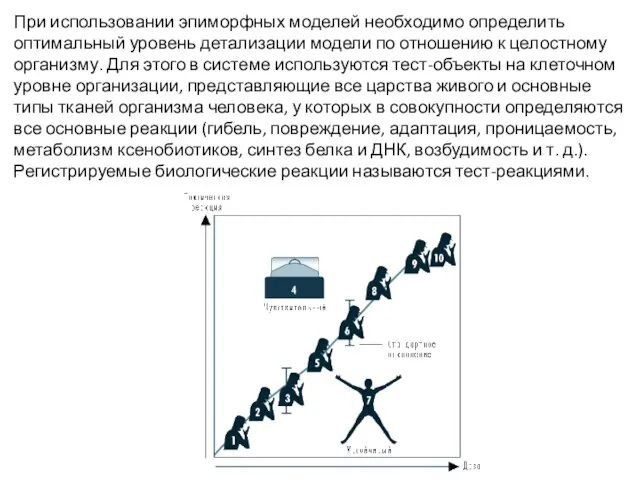 При использовании эпиморфных моделей необходимо определить оптимальный уровень детализации модели по