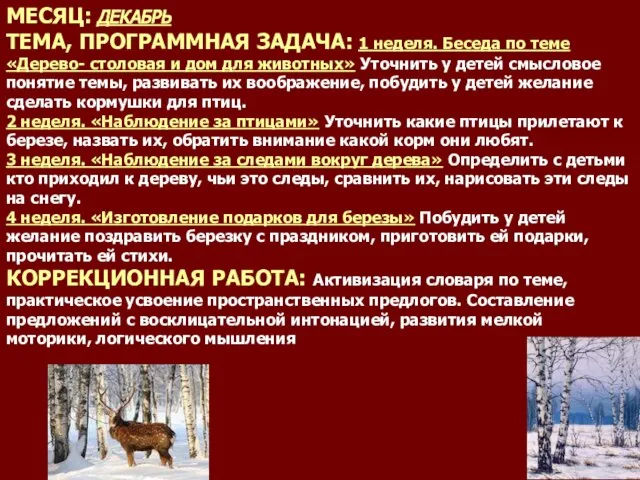 МЕСЯЦ: ДЕКАБРЬ ТЕМА, ПРОГРАММНАЯ ЗАДАЧА: 1 неделя. Беседа по теме «Дерево-