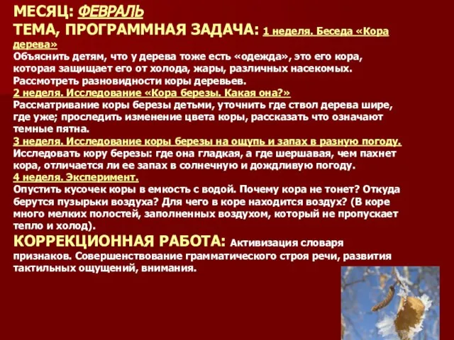 МЕСЯЦ: ФЕВРАЛЬ ТЕМА, ПРОГРАММНАЯ ЗАДАЧА: 1 неделя. Беседа «Кора дерева» Объяснить