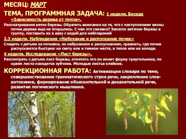 МЕСЯЦ: МАРТ ТЕМА, ПРОГРАММНАЯ ЗАДАЧА: 1 неделя. Беседа «Зависимость дерева от