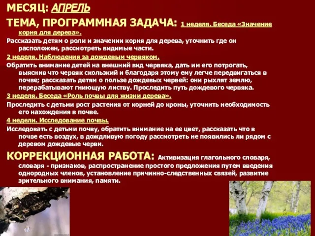 МЕСЯЦ: АПРЕЛЬ ТЕМА, ПРОГРАММНАЯ ЗАДАЧА: 1 неделя. Беседа «Значение корня для