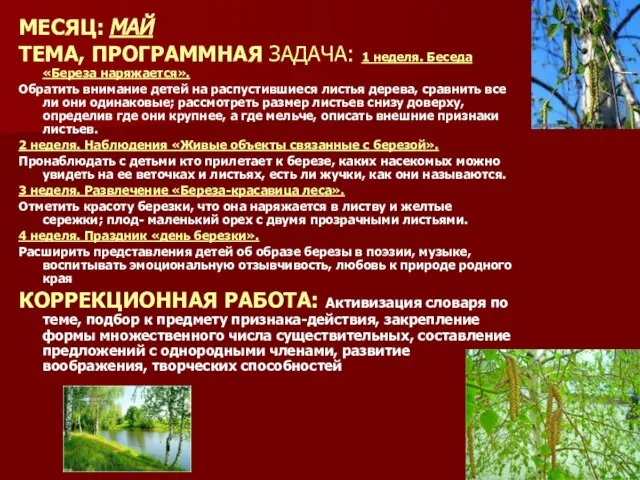 МЕСЯЦ: МАЙ ТЕМА, ПРОГРАММНАЯ ЗАДАЧА: 1 неделя. Беседа «Береза наряжается». Обратить