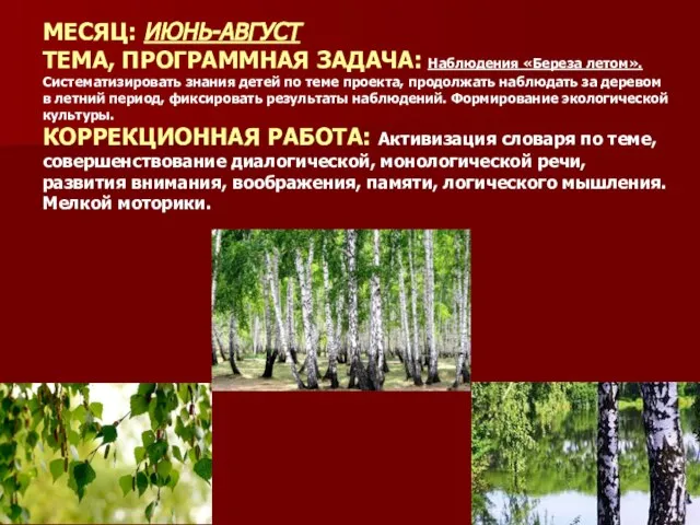 МЕСЯЦ: ИЮНЬ-АВГУСТ ТЕМА, ПРОГРАММНАЯ ЗАДАЧА: Наблюдения «Береза летом». Систематизировать знания детей