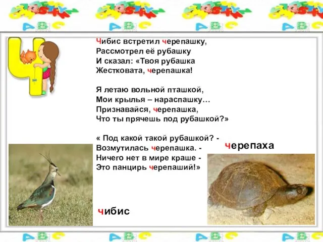 Чибис встретил черепашку, Рассмотрел её рубашку И сказал: «Твоя рубашка Жестковата,