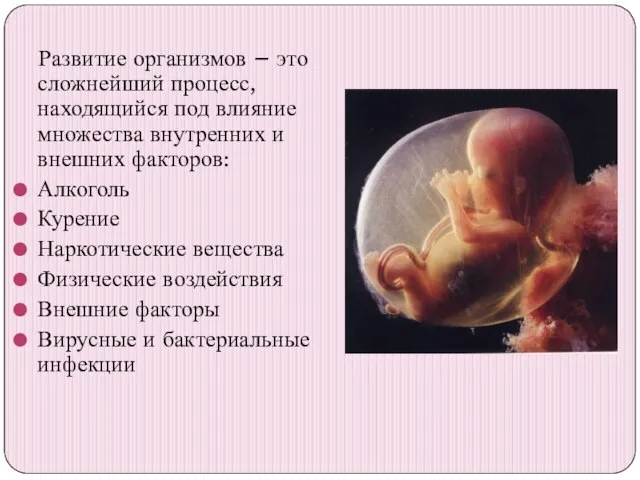 Развитие организмов – это сложнейший процесс, находящийся под влияние множества внутренних