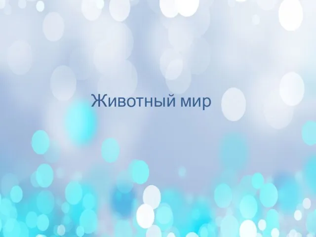 Животный мир