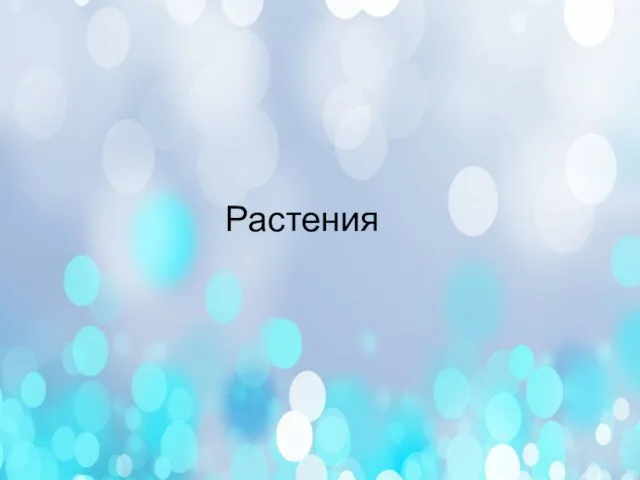 Растения