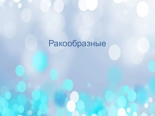 Ракообразные