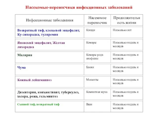 Насекомые-переносчики инфекционных заболеваний