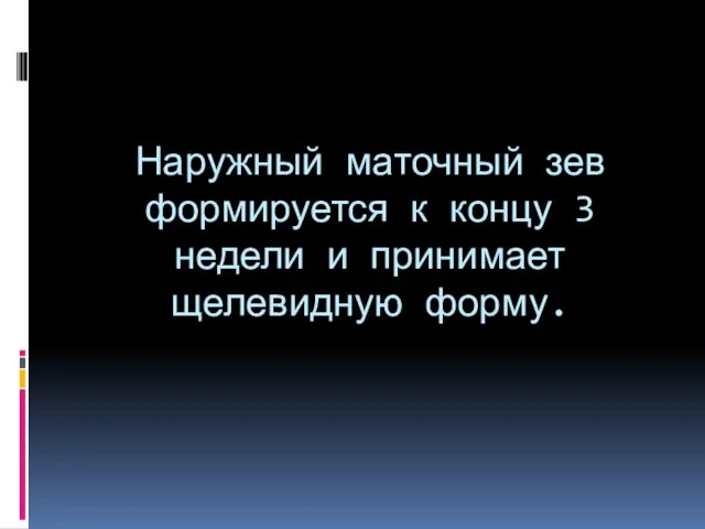 Наружный маточный зев формируется к концу 3 недели и принимает щелевидную форму.