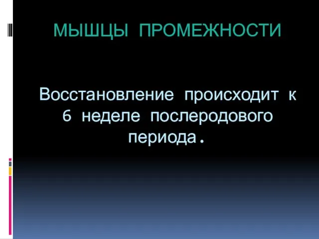 МЫШЦЫ ПРОМЕЖНОСТИ Восстановление происходит к 6 неделе послеродового периода.