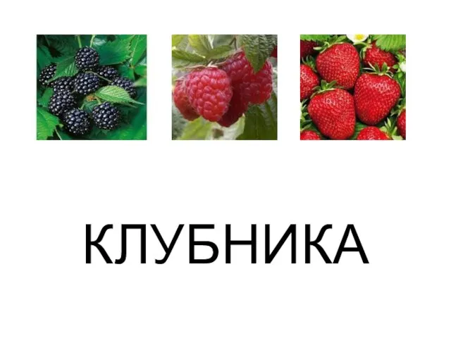 КЛУБНИКА