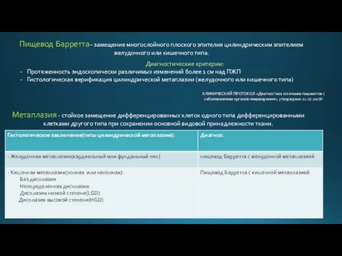 Пищевод Барретта– замещение многослойного плоского эпителия цилиндрическим эпителием желудочного или кишечного