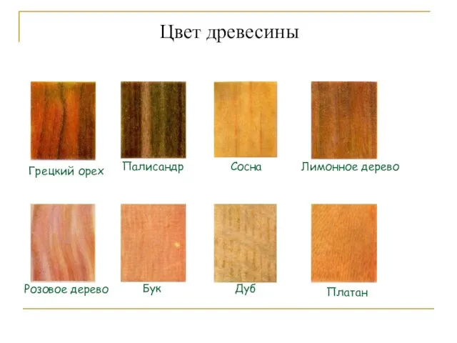 Цвет древесины Грецкий орех Палисандр Сосна Лимонное дерево Розовое дерево Дуб Платан Бук