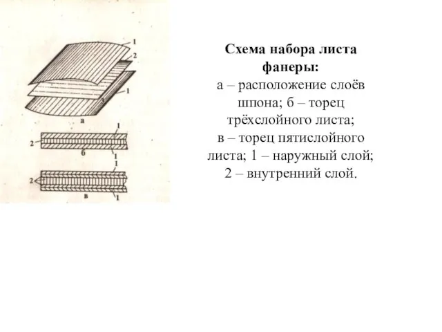 Схема набора листа фанеры: а – расположение слоёв шпона; б –