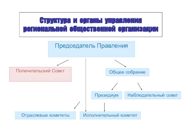 Структура и органы управления региональной общественной организации Председатель Правления Попечительский Совет