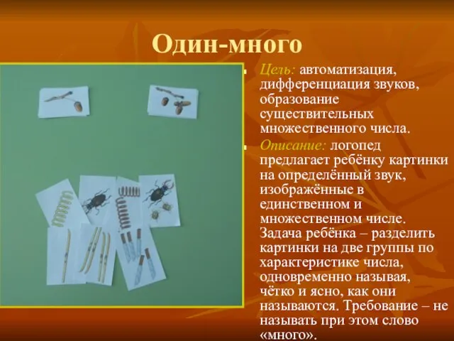 Один-много Цель: автоматизация, дифференциация звуков, образование существительных множественного числа. Описание: логопед