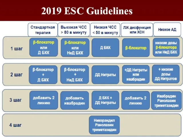 2019 ESC Guidelines