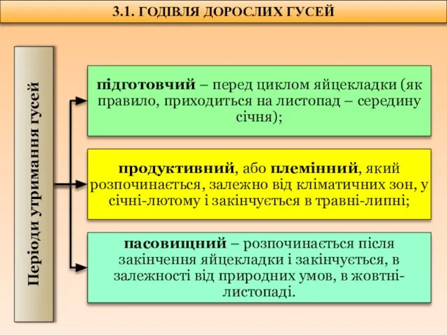 3.1. ГОДІВЛЯ ДОРОСЛИХ ГУСЕЙ